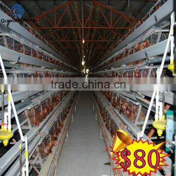 jaula de pollo/cages chicken poultry farming equipment