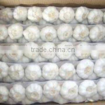 Dry White Garlic/Fresh Style and Garlic Type Dried Garlic photo-3