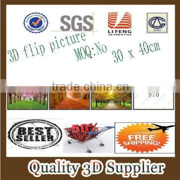 Guangzhou Lifeng Item No 970 Lenticular Landscape 3D Picture with flip effect in stock