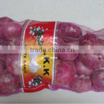 Fresh Red Onion Supplier