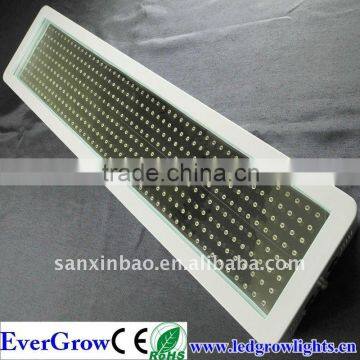 400W High Power Led Light Plant Grow Light Led Nova Led Light EG400