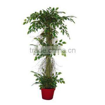 Artificial Tree plant