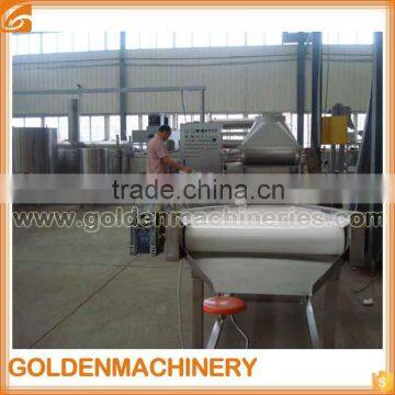 Automatic Continuous Peanut Fryer Nut Peanut Snacks Frying Machine