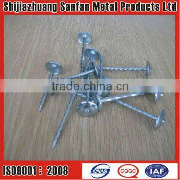 Galvanized Roofing nails