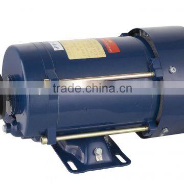 NEMA electic motor