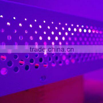 CXA 3070 COB LED Grow Light 200w photo-3
