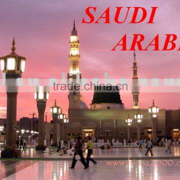 DRY/OT/FL/FR container Freight services from china to Saudi Arabia