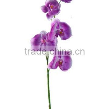 Real Touch Phalaenopsis (Artificial PU flower)