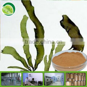 Seaweed Extract Polysacchrides 30%