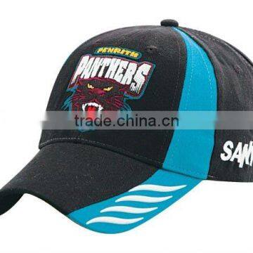 Printed Hat and Cap Cotton Hat Promotional Cap Golf Cap photo-4
