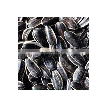 sunflower seeds 5135