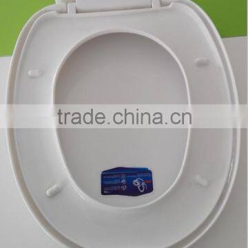 Printed Rose Wall Hanging Toilet Seat for Family Used