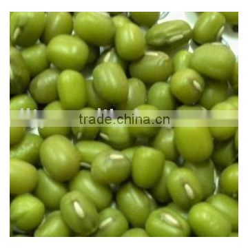 Chinese Small Green Mung Beans(Sprout)