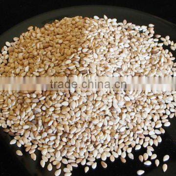 Hulled Sesame Seed