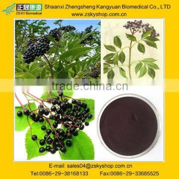Sambucus Nigra L. Extract, Anthocyanidins 25%