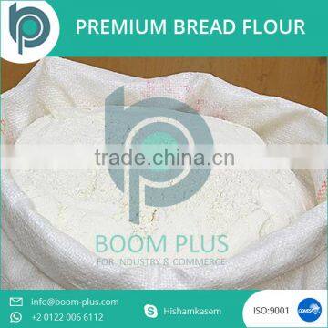 Egyptian Wheat Premium Bread Flour