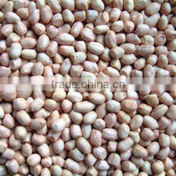 Chinese new crop peanut kernels