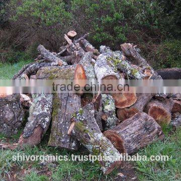 Oak Mass Oil