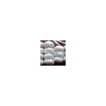 Health Vegetable of Chinese Garlic
