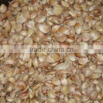 FX-139 High Efficiency Commercial Fresh Garlic Processing Machine / Garlic Dividing Machne / Garlic Separator photo-4