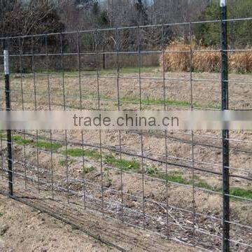 Solid Steel Pole For Cattle Fence Enclosure