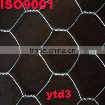 hexagonal/chicken wire mesh