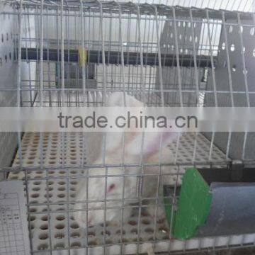 rabbit Cage of 2 or 3 layers with rabbit plastic slat floor(rabbit cage-06)