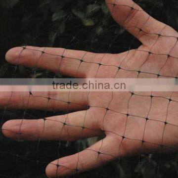 Agriculture Anti Bird Net / Bird Control Netting photo-2