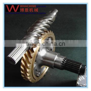 OEM Brass/Bronze/Steel Worm Gear Made By China Gold Supplier