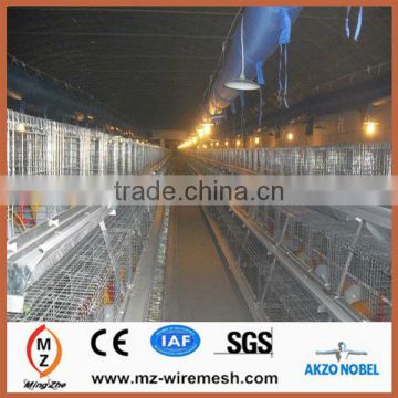 Hot galvanized automatic A-type/H-type layer chicken cage