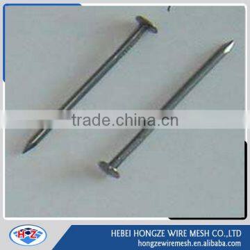 best price common nail/Iron nail/wire nail for construction