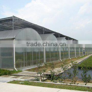 Polycarbonate Sheet Cover Agricultural Greenhouse PC Sheet Covered Greenhouse photo-4