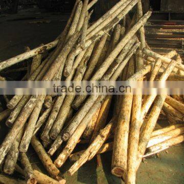 LOGS DEBARKING MACHINE photo-3