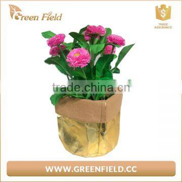 Golden Washable Bag Rolled Packing, Sack Metallic Color Keeper in Kraft photo-4