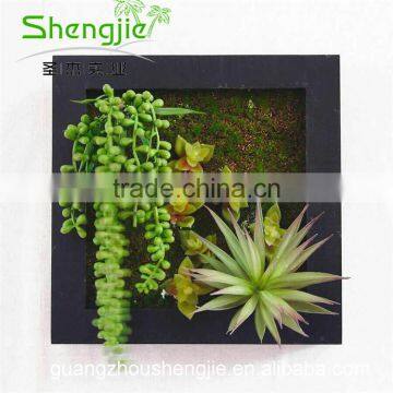 SJLJ013383 Artificial Succulent Plants for Wall / Wedding / Hotel Decoration photo-6