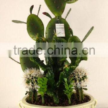 CHY030932 Artificial Ornamental Plant/plastic Decorative Cactus and Succulent photo-4