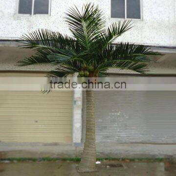 SJ2001116 High Quality Cocount Tree Factory Outlet photo-5