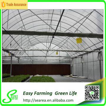 Glass Greenhouse photo-5