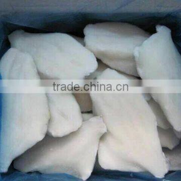 Frozen Moonfish Fillets photo-6