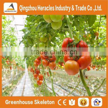 Heracles Trade Assurance Agricultural Greenhouse for Tomato photo-3