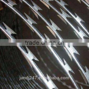 2017 Hot Sale Galvanized Razor Wire With Factory Price photo-3