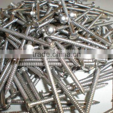 Stainless Steel Headless Nails photo-5