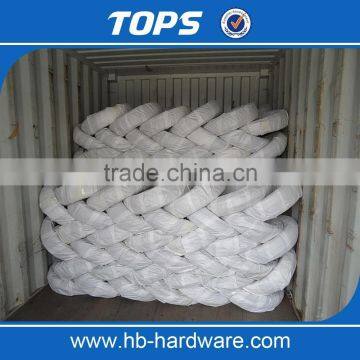 Electro Galvanized Steel Wire photo-6