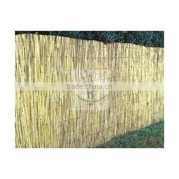 Reed Fence photo-2
