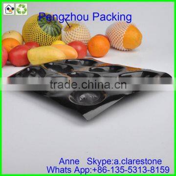 Pengzhou Plastic Food Tray With Lid photo-2