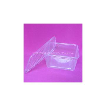 Plastic Waterproof food container