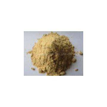 Soy Lecithin ( Powder/Liquid )