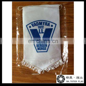 2016 World Cup Pennant Flag