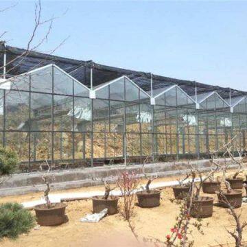 Venlo A-shape Roof Glass Greenhouse, Multi-span Glass Greenhouse