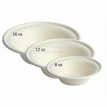 Eco-friendly Bagasse bowl